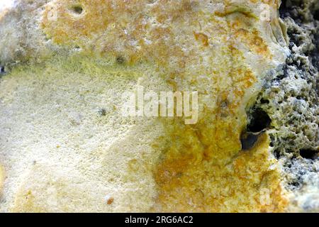 Gelb, braun, orange, schwarz, blaugrau. Grobe Oberfläche eines kleinen Steinzentrums am Strand. Makro, Nahaufnahme. Hintergrund, Hintergrund. Stockfoto