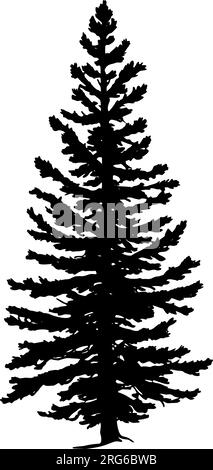 Douglas-Fir-Baumsilhouette. Vektordarstellung Stock Vektor