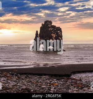 Der trinkende Elefant oder Nashorn, Basalt Stapel Hvitserkur entlang der östlichen Küste der Halbinsel Vatnsnes, im Nordwesten Islands. Super Rock Structu Stockfoto
