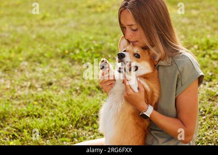 Ein junges Mädchen hält einen fröhlichen und lustigen walisischen Corgi in den Armen in einem Park bei sonnigem Wetter, das Konzept der glücklichen Hunde Stockfoto