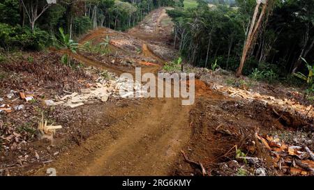 ilheus, bahia, brasilien - 23. Mai 2022: Aussaatfläche im atlantikwald für den Bau der Autobahn BA 649, die die Gemeinden I verbindet Stockfoto