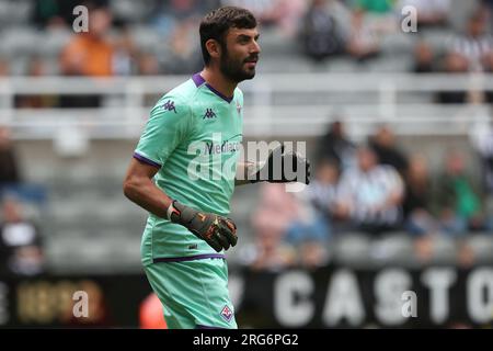 Newcastle, Vereinigtes Königreich, 6. August 2023. Fiorentina's Pietro Terracciano während des Sela Cup Spiels zwischen OCG Nice und ACF Fiorentina in St. James's Park, Newcastle, Sonntag, den 6. August 2023. (Foto: Mark Fletcher | MI News) Guthaben: MI News & Sport /Alamy Live News Stockfoto