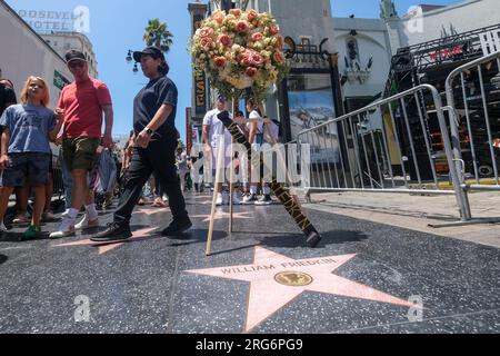 Los Angeles, Usa. 07. Aug. 2023. Neben dem Stern seiner Frau, seines ehemaligen Produzenten und Studioleiters Sherry Lansing in Los Angeles befindet sich der Stern von William Friedkin auf dem Hollywood Walk of Fame. Filmregisseur William Friedkin, der Hollywood in den 1970er Jahren mit seinem Oscar-prämierten ,,The French Connection'' und dem übernatürlichen Horrorfilm ,,The Exorcist'', seinen Stempel aufsetzte, starb heute in Los Angeles mit 87 Jahren. Kredit: SOPA Images Limited/Alamy Live News Stockfoto