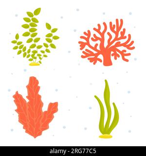 Vektordarstellung. Sammlung von Unterwasseralgen-Cartoon-Clipart. Unterwasserwelt. Meer, Meer, Fluss. Stock Vektor