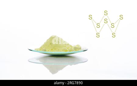 Schwefelpulver in chemischem Uhrglas mit Molekularstruktur. Stockfoto