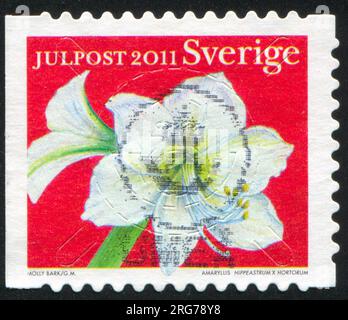 SCHWEDEN - CIRCA 2011: Von Schweden gedruckter Stempel zeigt Amaryllis, circa 2011 Stockfoto