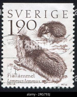 SCHWEDEN - CA. 1984: Von Schweden gedruckter Stempel, Lemming, ca. 1984 Stockfoto