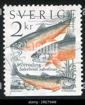 SCHWEDEN - CIRCA 1985: Von Schweden gedruckter Stempel, zeigt Fisch, circa 1985 Stockfoto