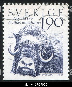 SCHWEDEN - CIRCA 1984: Von Schweden gedruckter Stempel zeigt Muskolochse, circa 1984 Stockfoto