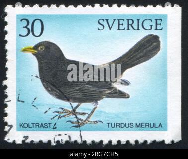 SCHWEDEN - CIRCA 1970: Von Schweden gedruckter Stempel zeigt Blackbird, circa 1970 Stockfoto