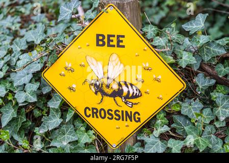 Bochum, Deutschland - 10. Mai 2022: Lustiges und leuchtend gelbes und schwarzes Schild „Bee Crossing“ im Zaunpfahl im Zoo von Bochum, Nordrhein-Westfalen, Stockfoto