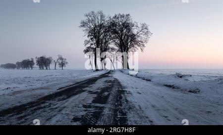 Eine verschneite, unbefestigte Straße bei Sonnenuntergang, Bäume in der Ferne (selektiver Fokus) Stockfoto