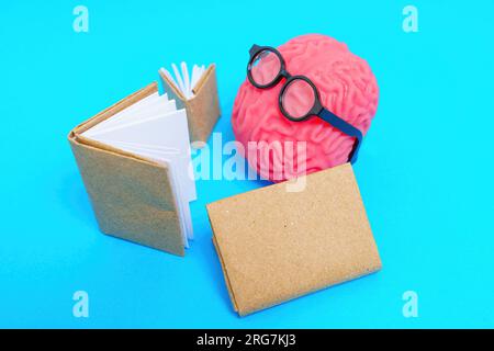 Menschliches Hirnmodell mit Streberbrille, die Bücher auf blauem Hintergrund liest. Stockfoto