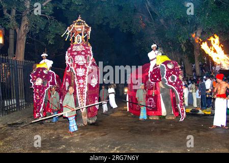 Kandy, Sri Lanka - 11. August 2005: Geschmückte Elefanten mit Mahouts nehmen am Fest Pera Hera in Kandy Teil, um den Zahn von Buddha i zu feiern Stockfoto