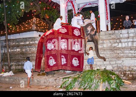 Kandy, Sri Lanka - 11. August 2005: Die Menschen bereiten sich auf die Teilnahme am Fest Pera Hera in Kandy vor, um den Zahn von Buddha i. zu feiern Stockfoto