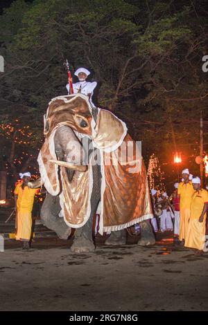 Kandy, Sri Lanka - 11. August 2005: Geschmückte Elefanten mit Mahouts nehmen am Fest Pera Hera in Kandy Teil, um den Zahn von Buddha i zu feiern Stockfoto