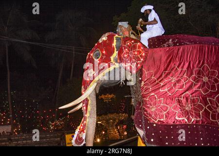 Kandy, Sri Lanka - 11. August 2005: Geschmückte Elefanten mit Mahouts nehmen am Fest Pera Hera in Kandy Teil, um den Zahn von Buddha i zu feiern Stockfoto