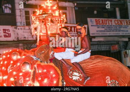 Kandy, Sri Lanka - 10. August 2005: Elefanten nehmen am Fest Pera Hera in Candy Teil, um den Zahn Buddhas in Kandy, Sri Lanka, zu feiern. Stockfoto