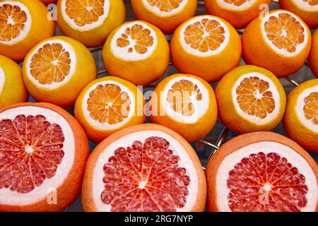Orangen und Grapefruits. Frisches Obst auf einem Straßenmarkt Stockfoto