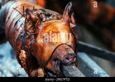 Ganze Schweinepest auf traditionellem Fest in Serbien geröstet, selektiver Fokus Stockfoto