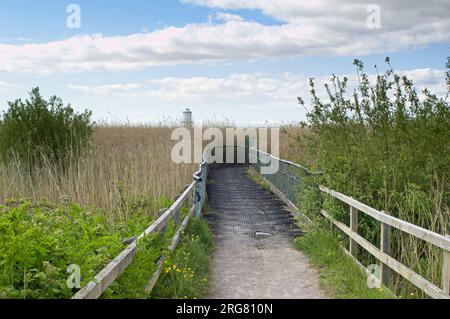 Newport Wetlands Walkway Stockfoto