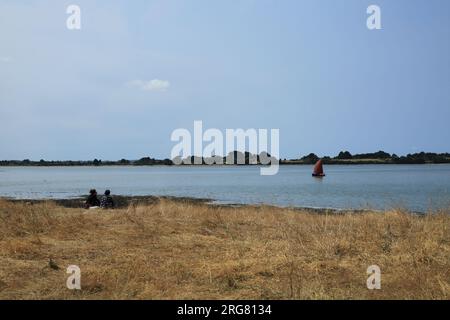 Segelboot mit rotem Segel zwischen Ile Tascon und Plage de Montsarrac, Montsarrac, Vannes, Morbihan, Bretagne, Frankreich Stockfoto