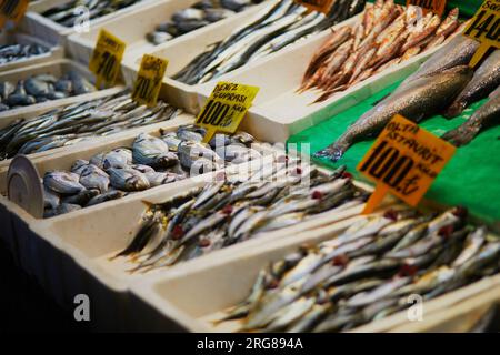 Frischer Fang des Tages zum Verkauf auf einem Fischmarkt im Stadtteil Uskudar, asiatische Seite von Istanbul, Türkei Stockfoto