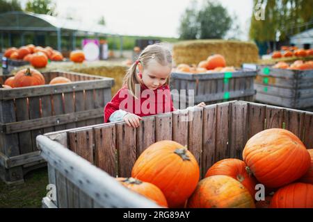 Süßes Vorschulmädchen in rotem Poncho, das Kürbis auf dem Bauernhof auswählt. Fröhliches Kind feiert Halloween Stockfoto