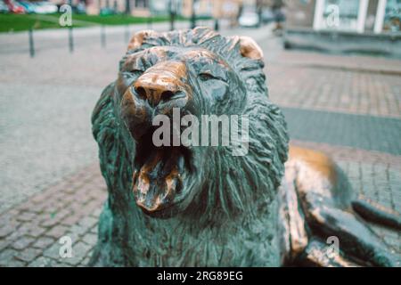 Danzig, Polen - 11. November 2022: Statuen von Bronzelöwen in der Altstadt von Danzig als Symbol der Stadt, Polen Stockfoto