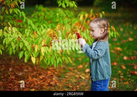 Süßes Vorschulmädchen, das den Herbsttag im Freien genießt. Fröhliches Kind, das Herbstblätter in Paris versammelt. Herbstaktivitäten im Freien für Kinder Stockfoto
