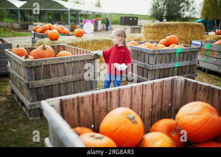 Süßes Vorschulmädchen in rotem Poncho, das Kürbis auf dem Bauernhof auswählt. Fröhliches Kind feiert Halloween Stockfoto