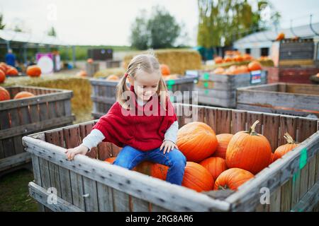 Süßes Vorschulmädchen in rotem Poncho, das Kürbis auf dem Bauernhof auswählt. Fröhliches Kind feiert Halloween Stockfoto