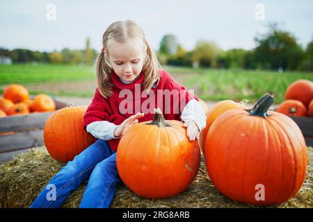 Süßes Vorschulmädchen in rotem Poncho, das Kürbis auf dem Bauernhof auswählt. Fröhliches Kind feiert Halloween Stockfoto