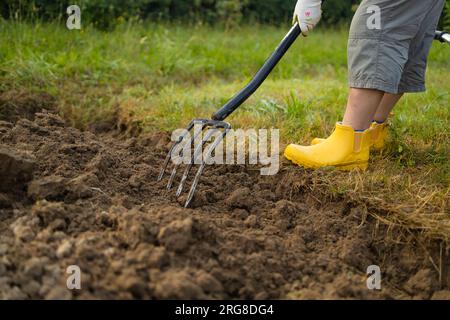 Landwirt, der mit Handwerkzeugen Land im Garten anbaut. Bodenlockerung. Gartenkonzept. Rechen und Spaten auf gelöstem Boden. Landwirtschaftliche Arbeiten Stockfoto