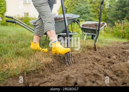 Landwirt, der mit Handwerkzeugen Land im Garten anbaut. Bodenlockerung. Gartenkonzept. Rechen und Spaten auf gelöstem Boden. Landwirtschaftliche Arbeiten Stockfoto