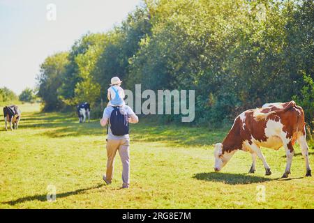 Vater hält seine Tochter auf den Schultern und läuft in der Nähe von Kühen, die auf einer grünen Weide in der ländlichen Bretagne in Frankreich weiden Stockfoto