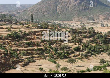 Landschaft in der Nähe von Yeha, Tigray Region, Äthiopien Yeha, ist eine Stadt in der Maekelay Zone der nördlichen Tigray Region in Äthiopien. Es diente wahrscheinlich als C Stockfoto