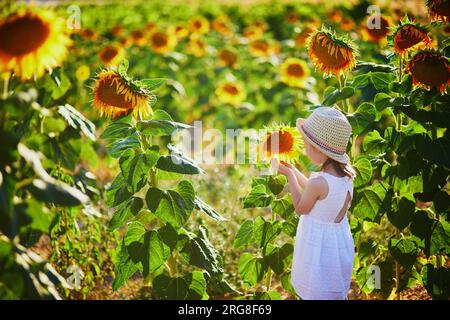 Bezauberndes 4-jähriges Mädchen in weißem Kleid und Strohhut auf einem Feld mit Sonnenblumen in der Provence, Frankreich Stockfoto