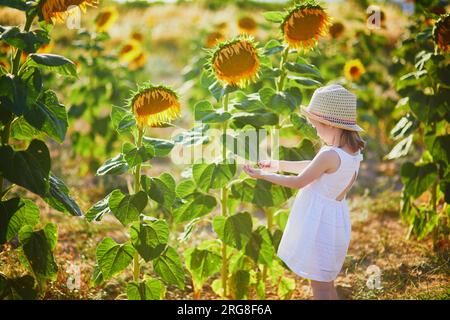 Bezauberndes 4-jähriges Mädchen in weißem Kleid und Strohhut auf einem Feld mit Sonnenblumen in der Provence, Frankreich Stockfoto