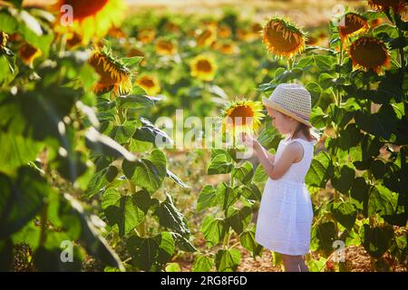 Bezauberndes 4-jähriges Mädchen in weißem Kleid und Strohhut auf einem Feld mit Sonnenblumen in der Provence, Frankreich Stockfoto