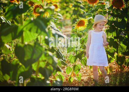 Bezauberndes 4-jähriges Mädchen in weißem Kleid und Strohhut auf einem Feld mit Sonnenblumen in der Provence, Frankreich Stockfoto