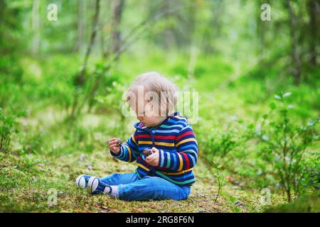 Ein bezauberndes Mädchen im Wald, das auf dem Boden sitzt und mit Kiefernzapfen spielt. Das kleine Kind hat draußen Spaß. Kind, das die Natur erforscht Stockfoto