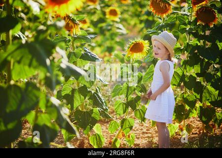 Bezauberndes 4-jähriges Mädchen in weißem Kleid und Strohhut auf einem Feld mit Sonnenblumen in der Provence, Frankreich Stockfoto