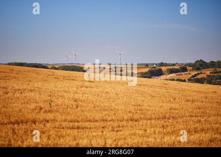 Malerische Panoramalandschaft von Sainte-Marguerite sur Mer, Normandie in Frankreich Stockfoto