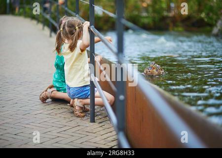 Vorschulmädchen, die im Zoo oder Safaripark Enten anfassen oder im Wasser angeln wollen. Sommeraktivitäten im Freien für Kinder Stockfoto