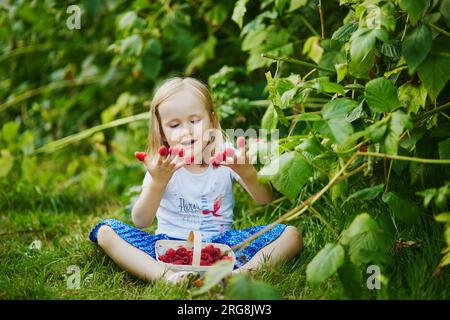 Ein bezauberndes Mädchen mit Strohhut pflückt frische Bio-Himbeeren auf dem Bauernhof. Köstlicher, gesunder Snack für kleine Kinder. Sommeraktivitäten im Freien für wenig Stockfoto