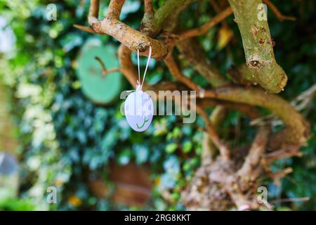 Farbige Ostereier, versteckt im Garten für die Ostertradition der Eierjagd. Unterhaltsame Osteraktivitäten für Kinder Stockfoto