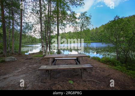 Wandern auf dem Korpinkierros Trail im Nuuksio Nationalpark - Finnland Stockfoto