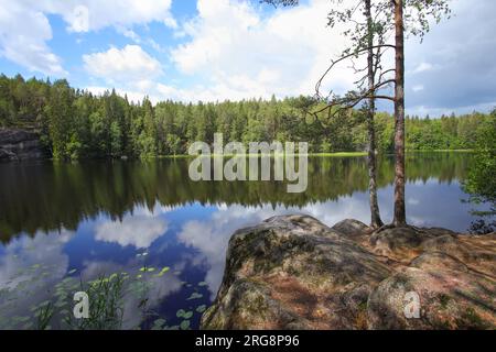 Wandern auf dem Korpinkierros Trail im Nuuksio National Park (Haukanholma Lagerfeuer) - Finnland Stockfoto