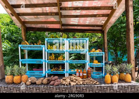 Ein Supermarkt am Straßenrand, Antigua, der Ananas, Bananen, Mangos und scharfe Soße verkauft Stockfoto